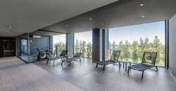NUEVO PROYECTO BLUE SUITES. MANILVA