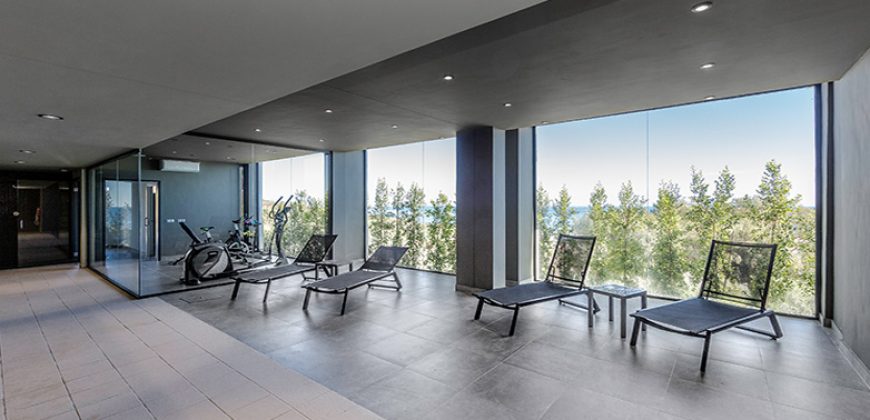 NUEVO PROYECTO BLUE SUITES. MANILVA