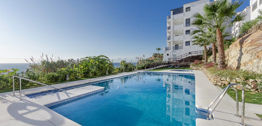 NUEVO PROYECTO BLUE SUITES. MANILVA