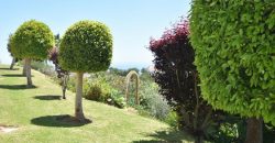 HALF FLOOR APARTMENT IN CALAHONDA