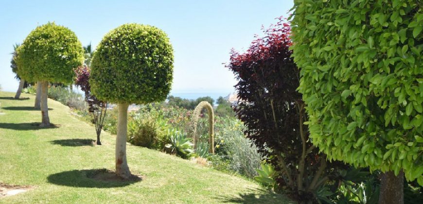 HALF FLOOR APARTMENT IN CALAHONDA