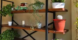 APARTAMENTO. PLANTA BAJA. LA CALA DE MIJAS