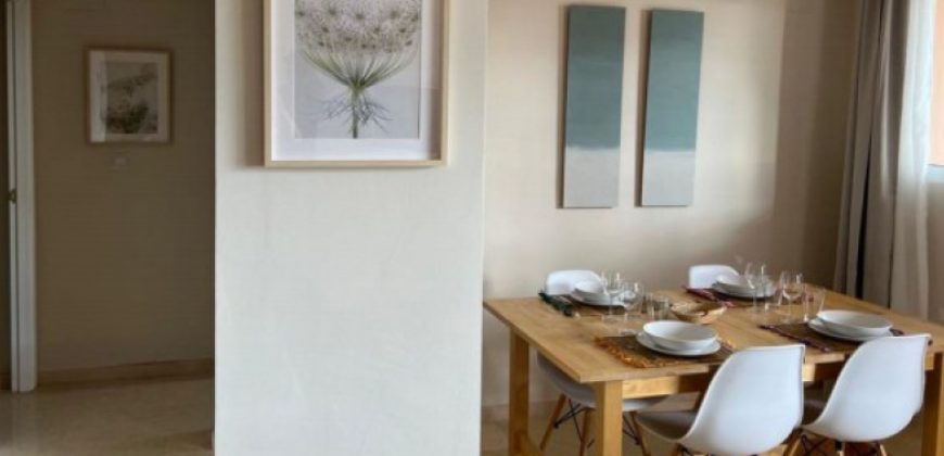LAST FLOOR OF THE APARTMENT, ELVIRIA