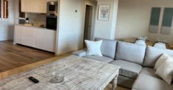 LAST FLOOR OF THE APARTMENT, ELVIRIA