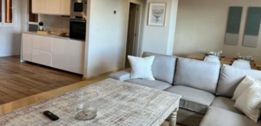LAST FLOOR OF THE APARTMENT, ELVIRIA