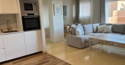 LAST FLOOR OF THE APARTMENT, ELVIRIA