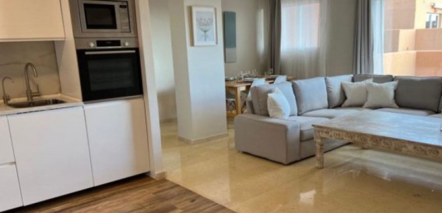 LAST FLOOR OF THE APARTMENT, ELVIRIA