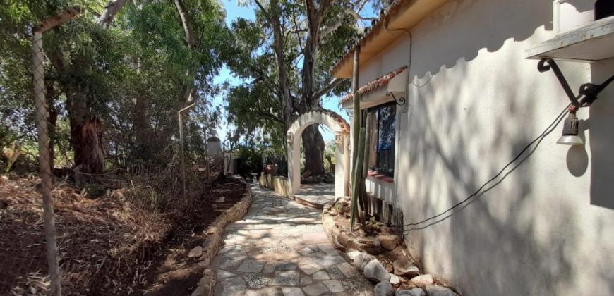 VILLA EN EL CHAPARRAL