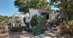 VILLA EN EL CHAPARRAL