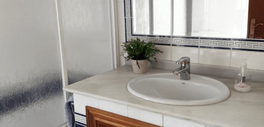 WONDERFUL SINGLE-FAMILY VILLA IN NUEVA ANDALUCIA