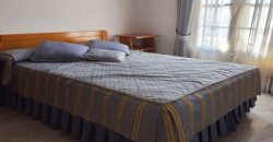 WONDERFUL SINGLE-FAMILY VILLA IN NUEVA ANDALUCIA