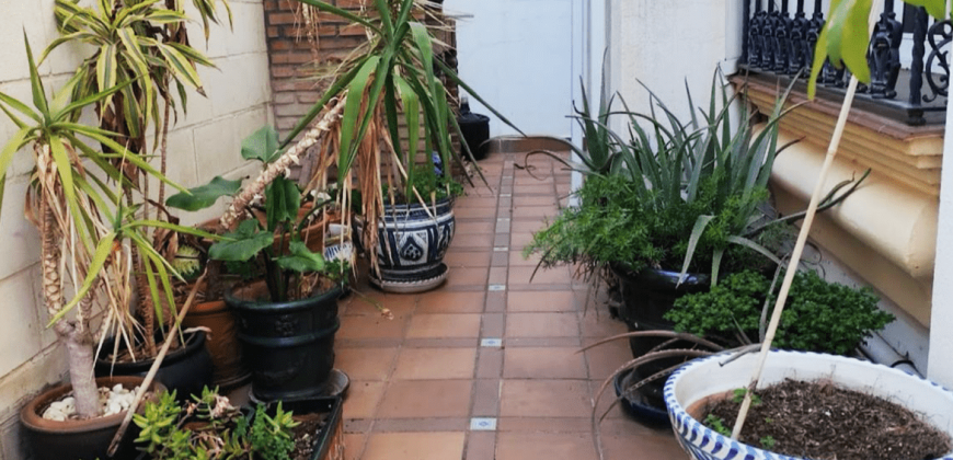 WONDERFUL SINGLE-FAMILY VILLA IN NUEVA ANDALUCIA