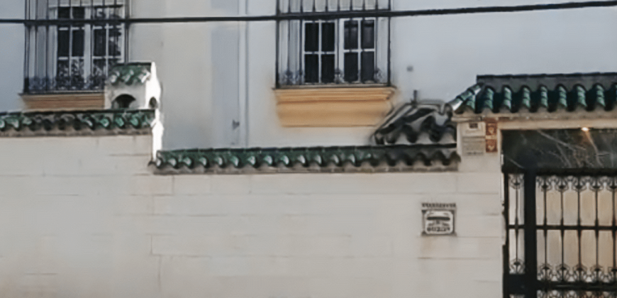 WONDERFUL SINGLE-FAMILY VILLA IN NUEVA ANDALUCIA