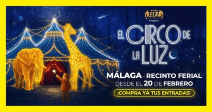 el circo de la luz en malaga