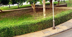 FLAT FOR SALE IN THE HEART OF COIN