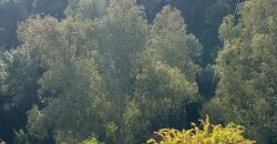 PISO EN VENTA. TORREBLANCA, FUENGIROLA