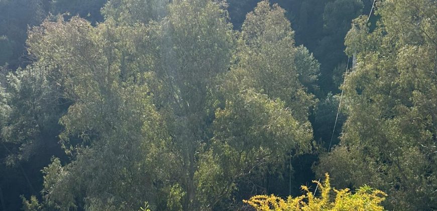 PISO EN VENTA. TORREBLANCA, FUENGIROLA